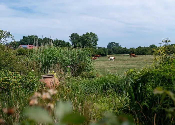 Schleiperle In Feriehus