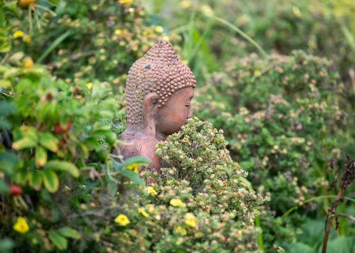 Schleiperle In Feriehus